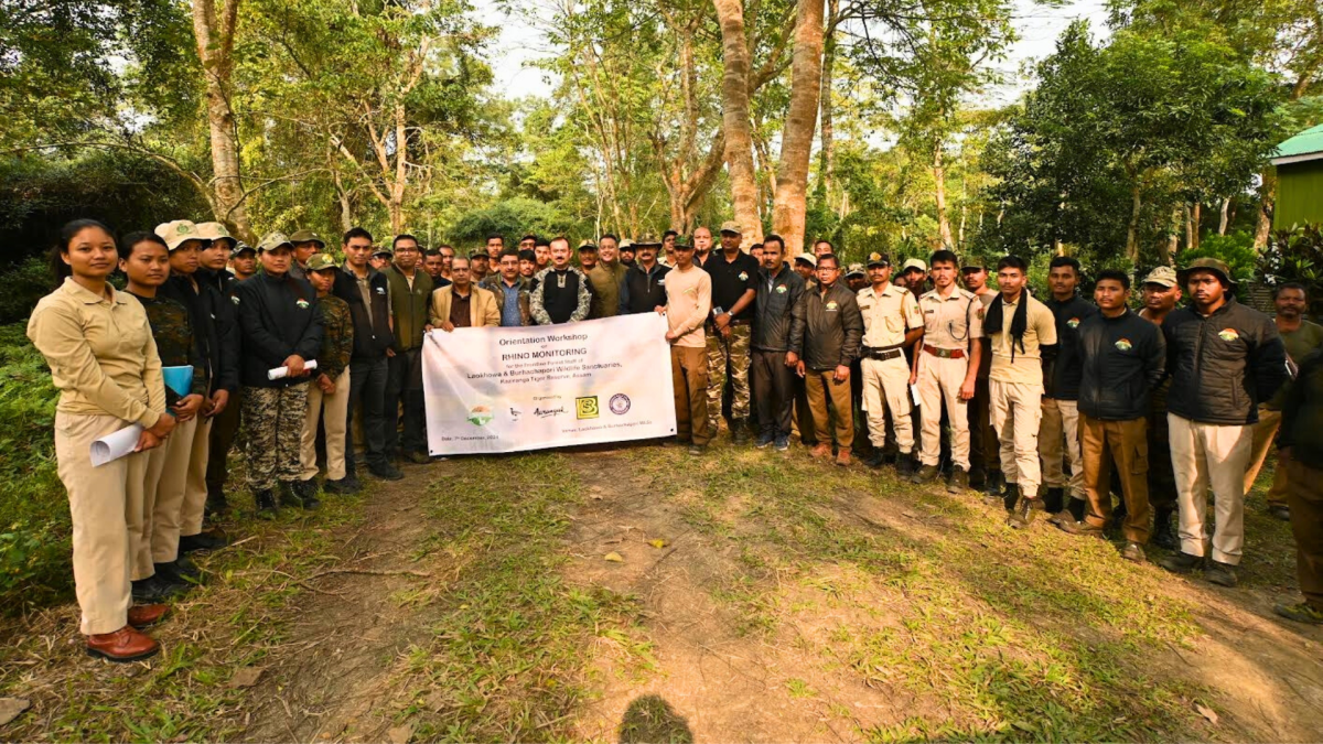 Enhanced rhino monitoring at Laokhowa and Burhachapori sanctuaries